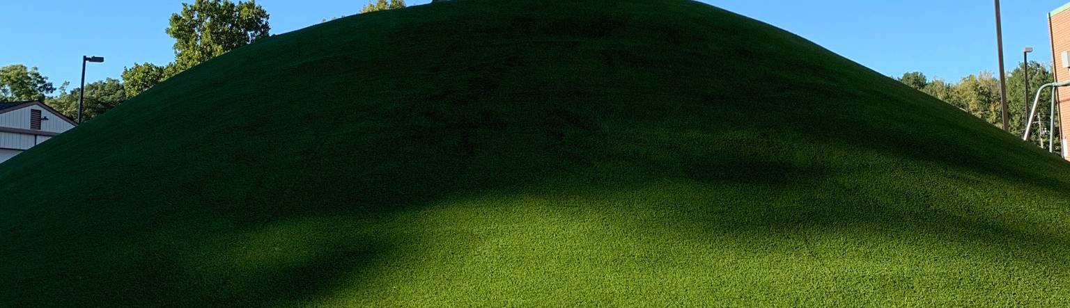 orchard school turf
